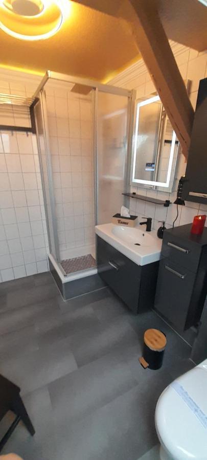 Best-Preis -Vip Lounge- Mit Netflix, Self-Check-In, Ebike Ladestation, Fahrradraum, Wlan Und Netflix - Direkt Am Elberadweg Im Herzen Von فيتينبيرغ المظهر الخارجي الصورة